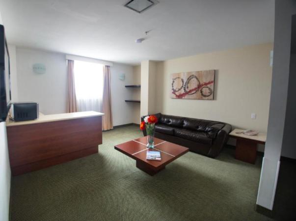 Hotel Ankara "Las Lomas" San Luis Potosí Екстериор снимка